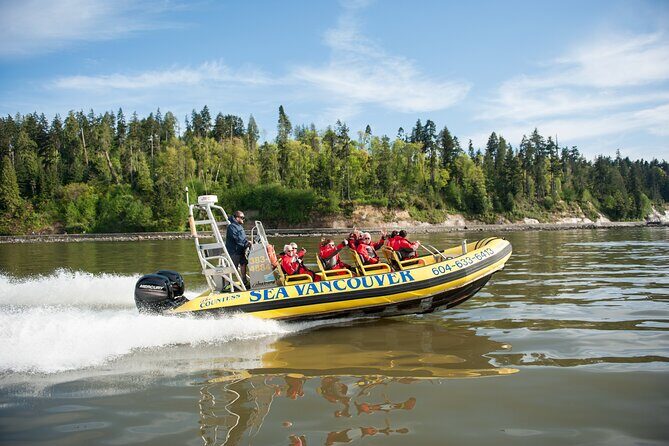Vancouver City and Nature Waterfront Sightseeing Boat Tour - West Vancouver and Lighthouse Park: where the nature side gets louder