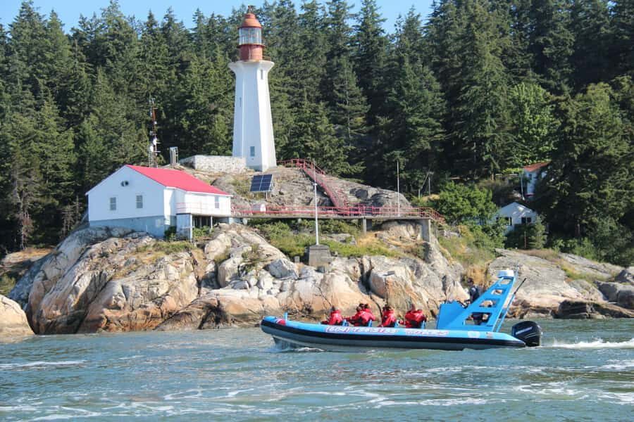 Vancouver: City and Seals Boat Tour - Key things that make this tour worth your time