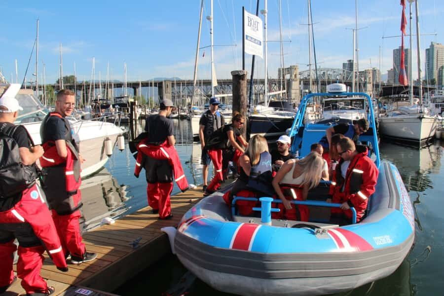Vancouver: City and Seals Boat Tour - The Seal Colony stop: what to watch for and how sightings feel