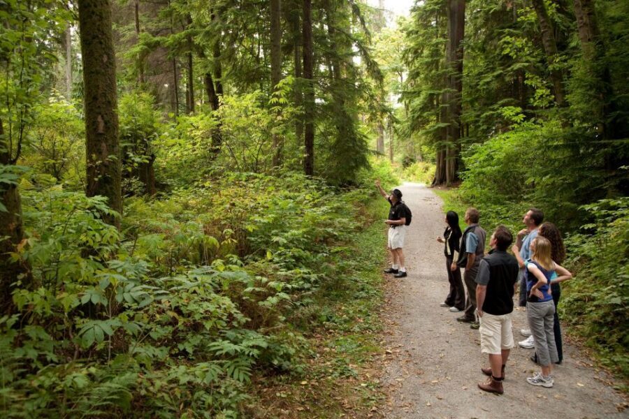 Vancouver: City + Lookout Tour & Option to Add YVR Drop-Off - Tips to Make the Most of the Half-Day (Without Stress)