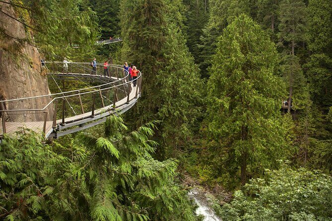 Vancouver City Sightseeing Tour: Capilano Suspension Bridge & Vancouver Lookout - Pickup, Timing, and What You Should Expect from Logistics