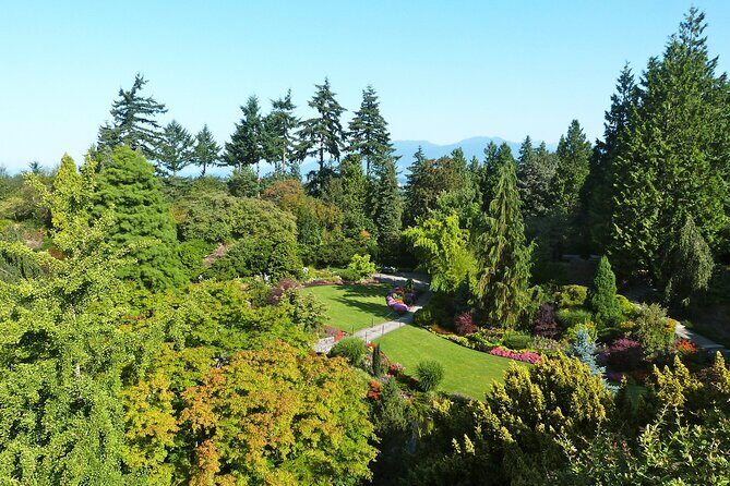 Vancouver City Tour with Admission to Lookout Tower - Vancouver Lookout Tower: The Included 360° Moment You’ll Be Glad You Paid For