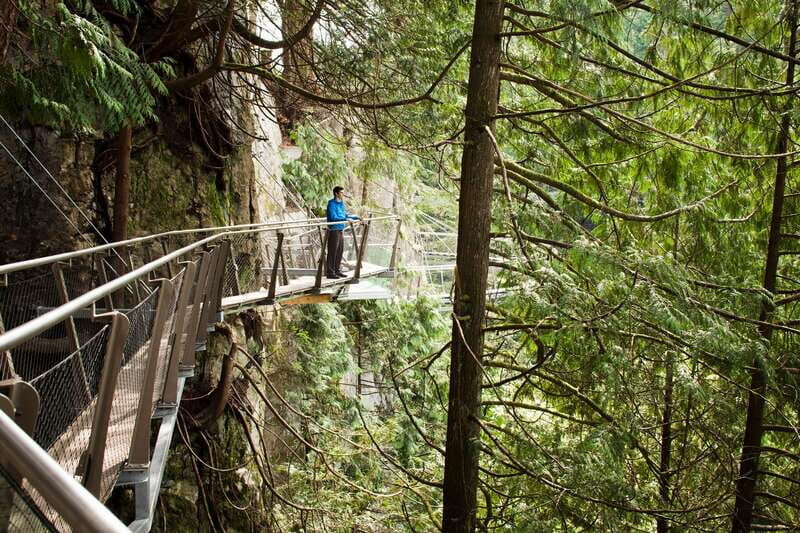 Vancouver: City+Lookout+Capilano Suspension Bridge Ticket - One Day, Two Vancouver Worlds: City Views Then Forest Thrills