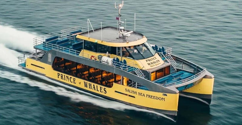 Vancouver: Covered Whale Watching Adventure with Free Photos - What to bring (and what to skip) for a smoother cruise