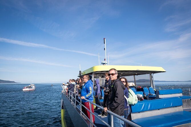 Vancouver Half-Day Whale Watching Adventure with Free Photos - The Whale Sightings Guarantee: peace of mind, with a small catch