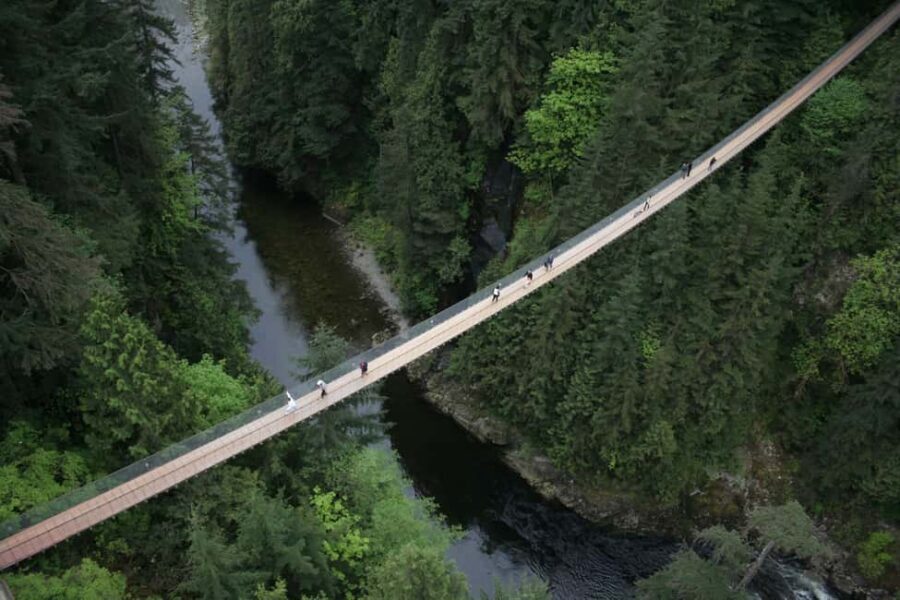 Vancouver Highlights: Capilano Bridge & Granville Island - Key things you’ll notice on this Vancouver highlights day