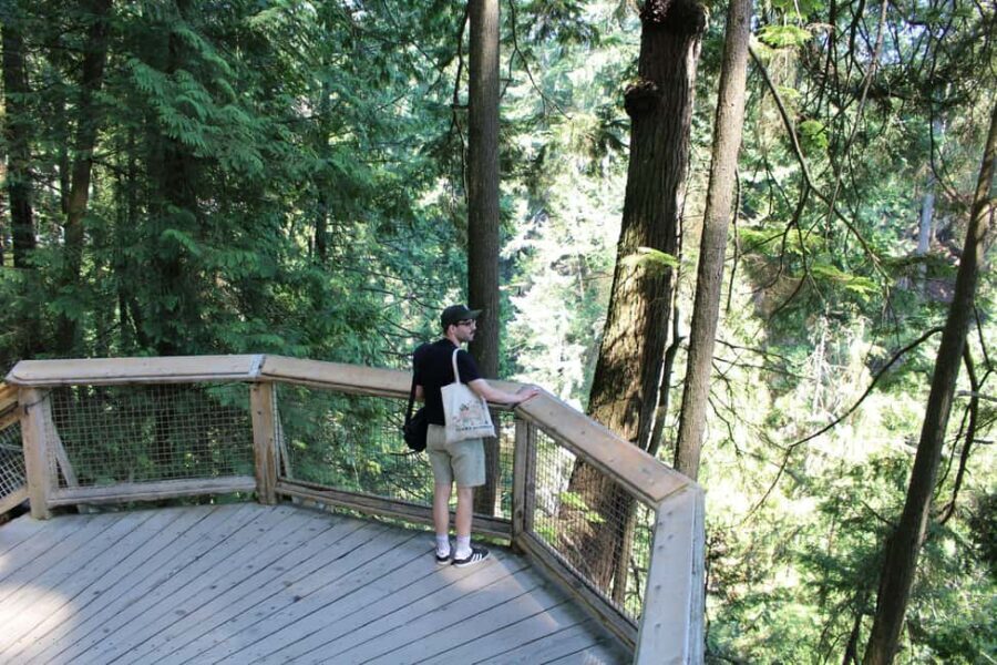Vancouver Highlights: Capilano Bridge & Granville Island - A tight 5-hour loop that actually works