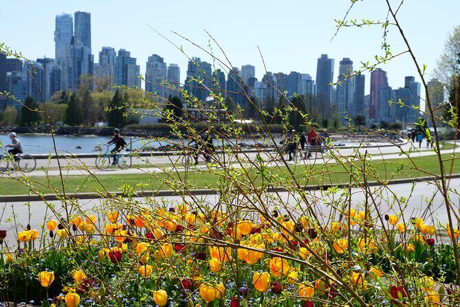 Vancouver Hop On Hop Off Trolley Tour - Should you book this Vancouver hop-on hop-off trolley tour?
