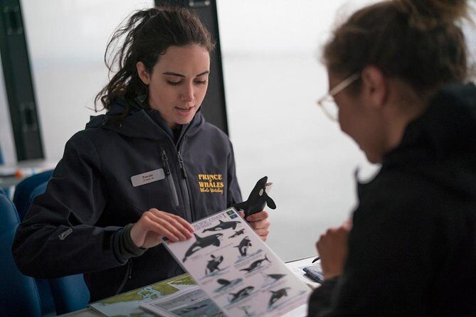 Vancouver Island Half-Day Whale Watching Tour - Telegraph Cove - Guides on Board: What to Expect From the Crew