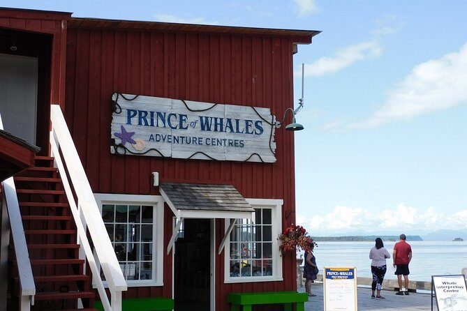 Vancouver Island Half-Day Whale Watching Tour - Telegraph Cove - What to Bring: Comfort Tips for a Cold Coast Boat