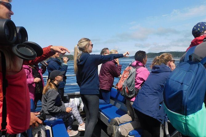 Vancouver Island Half-Day Whale Watching Tour - Telegraph Cove - Price and Value: Is $153.77 for 3 Hours a Good Deal?