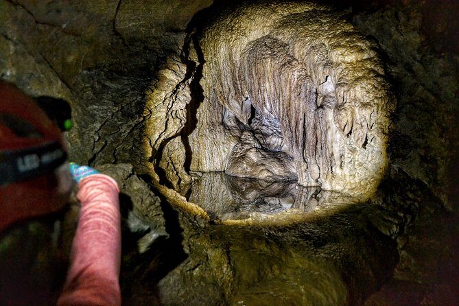 Vancouver Island Multi-Cave Experience - Horne Lake Caves Provincial Park: The Setting That Makes It Worth the Trip