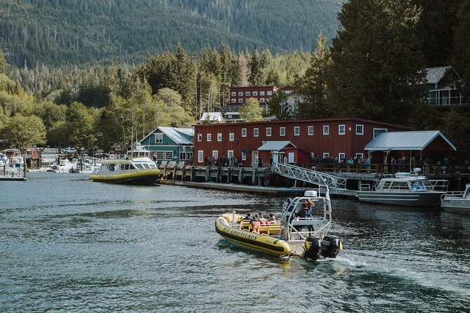 Vancouver Island Zodiac Whale Watching Adventure - Telegraph Cove - Key things to know before you go
