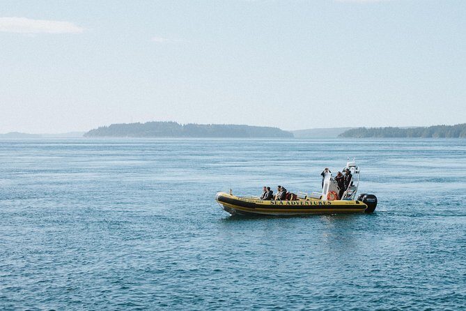 Vancouver Island Zodiac Whale Watching Adventure - Telegraph Cove - Telegraph Cove Marina is Your Launch Pad