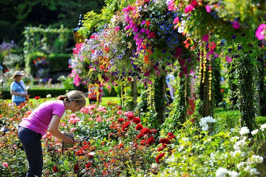 Vancouver: Islands Cruise, Butchart Gardens, & Victoria Tour - A One-Day Plan That Actually Feels Like Vacation Time