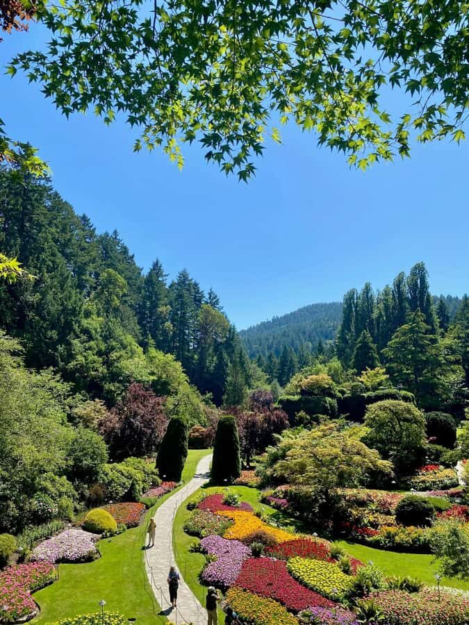 Vancouver: Islands Cruise, Butchart Gardens, & Victoria Tour - Victoria at Your Pace: Inner Harbour, Government Street, and Chinatown