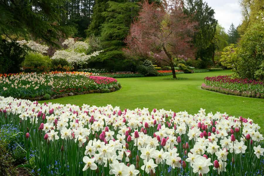 Vancouver: Islands Cruise, Butchart Gardens, & Victoria Tour - The Big Tradeoff: Time, Comfort, and Expectations
