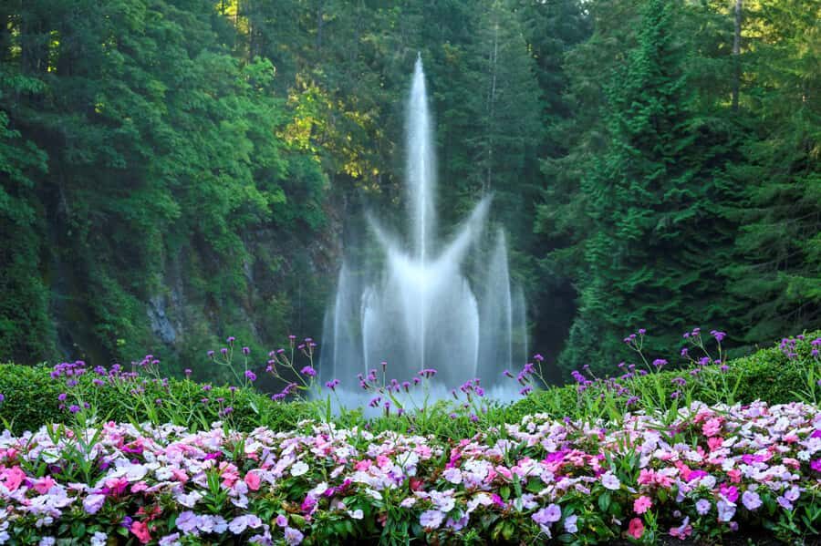 Vancouver: Islands Cruise, Butchart Gardens, & Victoria Tour - What You’re Really Buying at $199 Per Person
