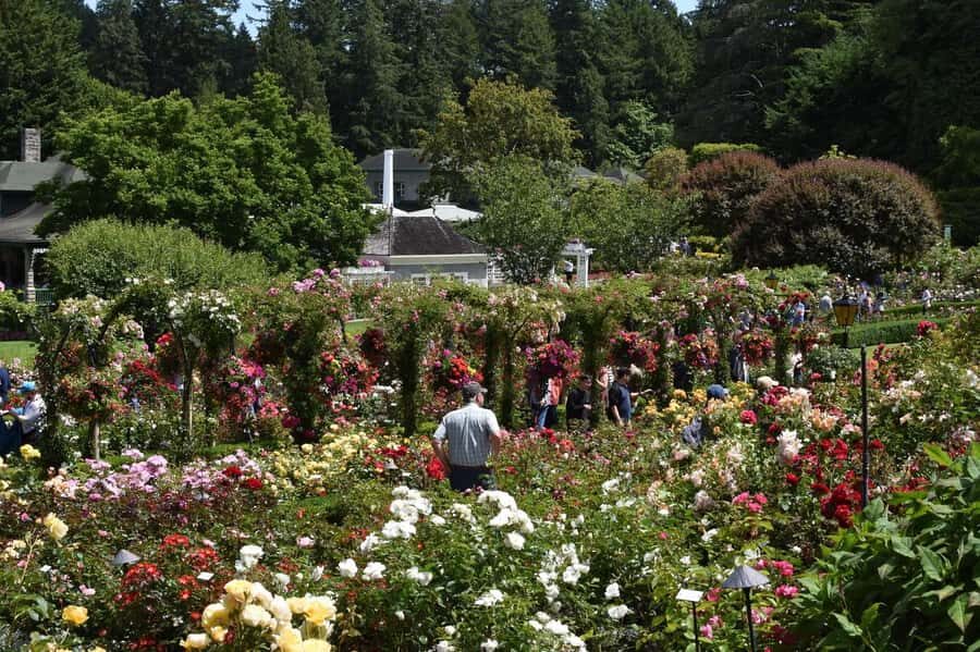 Vancouver: Islands Cruise, Butchart Gardens, & Victoria Tour - Should You Book This Victoria and Butchart Gardens Day Trip?