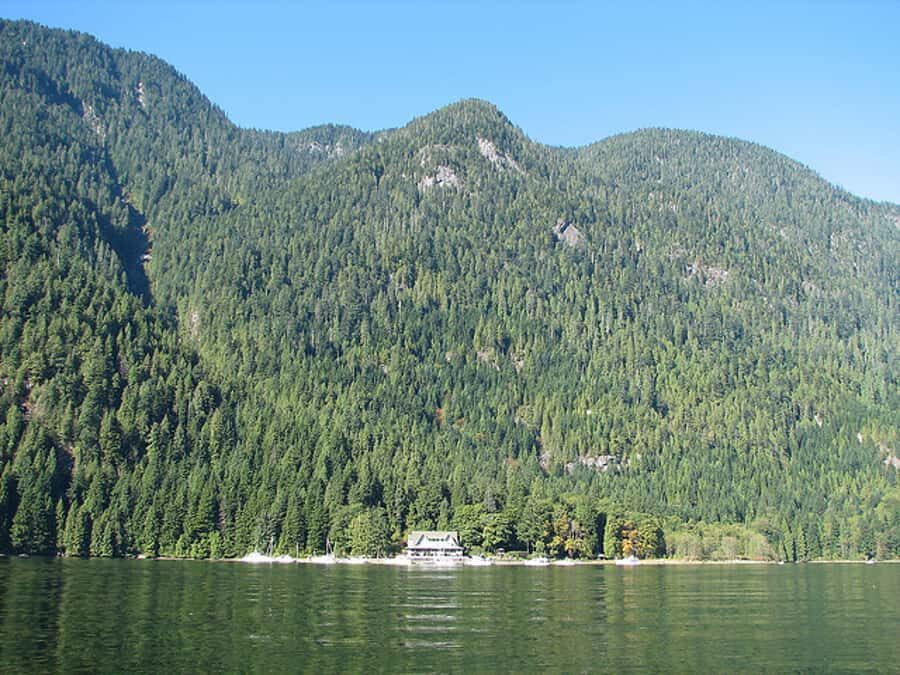 Vancouver: Lunch and Brunch Cruises - What makes a Vancouver brunch cruise feel worth it