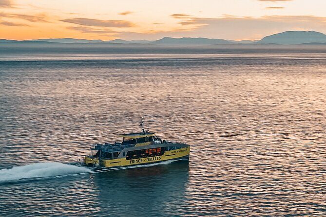 Vancouver Sunset Whale Watching Adventure with Free Photos - How the Crew Actually Finds Whales (and What That Means for You)