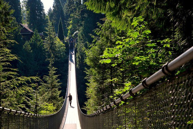 Vancouver Tour: Stanley Park, Granville Island & Capilano Bridge - Capilano Suspension Bridge Park: Cliffwalk, Bridge Views, and Real Photo Time