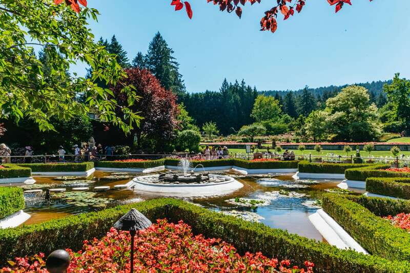 Vancouver: Victoria, Gulf Islands Cruise, & Butchart Gardens - The Georgia Strait Ferry Ride: Where the Wildlife Viewing Bonus Happens