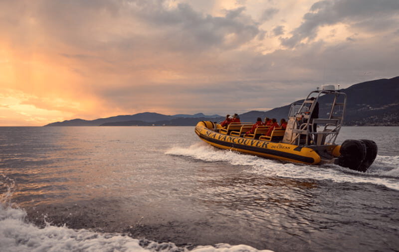 Vancouver: Waterfront Sightseeing Tour - City and Harbour - North Vancouver, Kitsilano Beach, and Spanish Banks: shoreline variety at speed