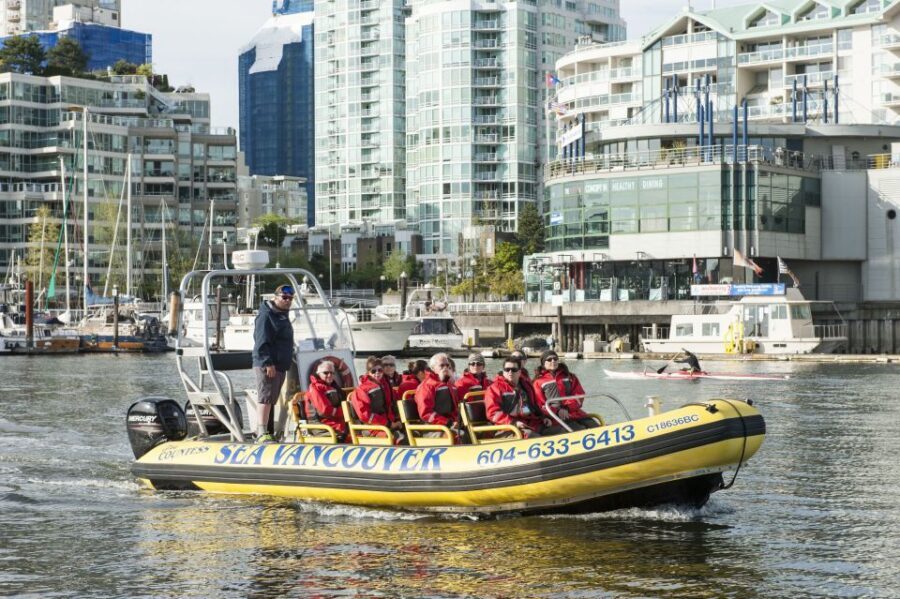 Vancouver: Waterfront Sightseeing Tour - City and Harbour - Wildlife spotting: what you’re looking for (and how to think about odds)