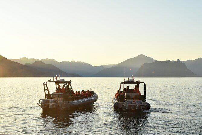 Vancouver's Intimate West Coast Whale Watching Experience - Is This Whale Watch Worth the Price and the Timing?