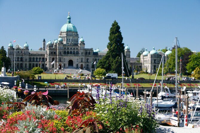 Victoria and Butchart Gardens, an Elevated Experience - Gulf Islands wildlife time: when your eyes do most of the work