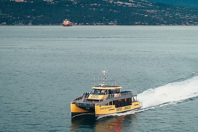 Victoria Half-Day Whale Watching Adventure with Free Photos - Leaving Victoria: the Salish Sea route that feels like a real day out