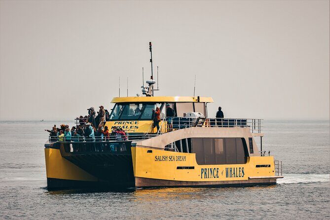 Victoria Half-Day Whale Watching Adventure with Free Photos - Photos without the scramble: the free photo package you actually use