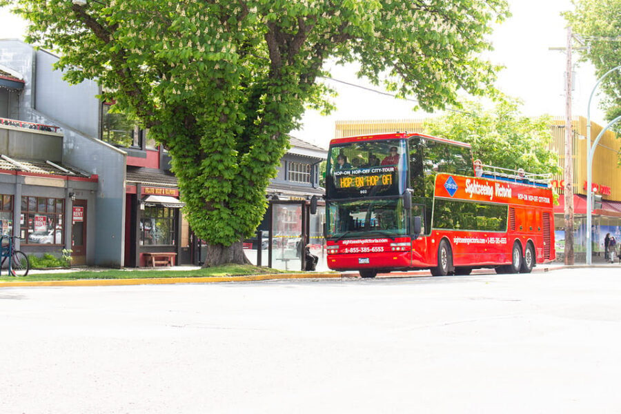 Victoria: Hop-On-Hop-Off Sightseeing Bus Tour - The Narration That Makes Stops Click: From Ocean Views to Local Context
