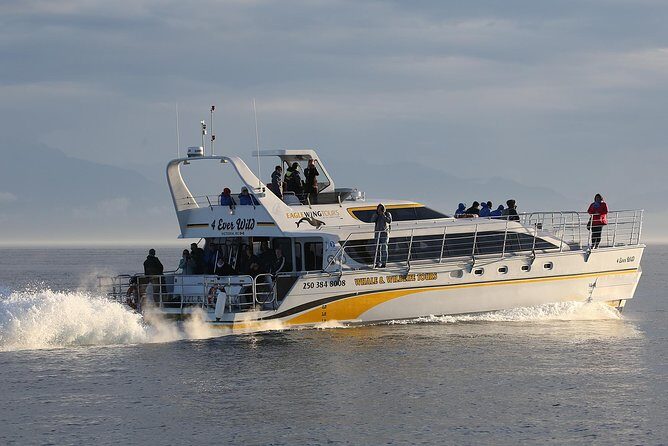 Victoria Marine Wildlife Tour - Boat Choice in Victoria: Open Speed vs Semi-Covered Comfort