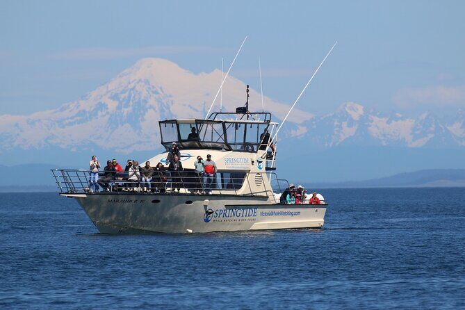 Victoria Whale Watch Tour - Key highlights worth booking for