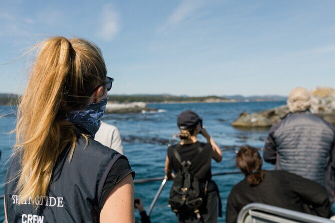 Victoria Whale Watch Tour - Should you book this Victoria Whale Watch?