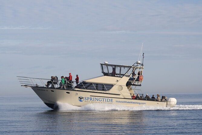 Victoria Whale Watch Tour - Entering the 60ft Ocean Cruiser: top deck views and a heated escape