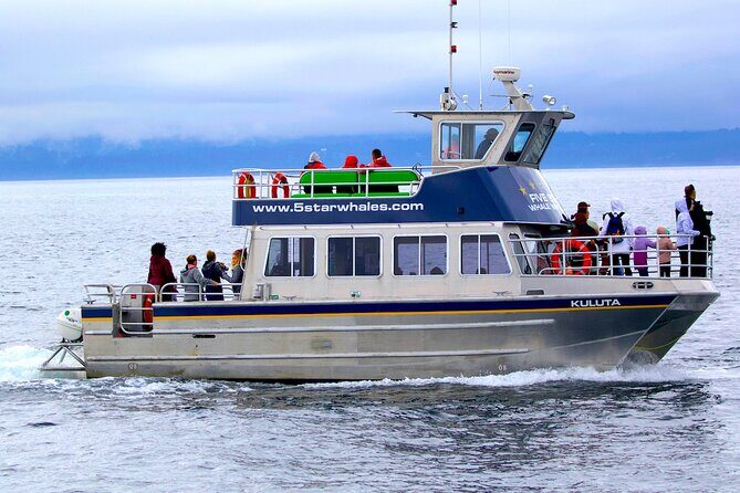 Victoria Whale Watching Cruise with Expert Naturalists - Key things I’d plan around