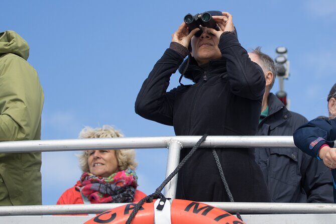 Victoria Whale Watching Tour on a Covered Vessel - Inside vs outside: how you’ll actually watch whales