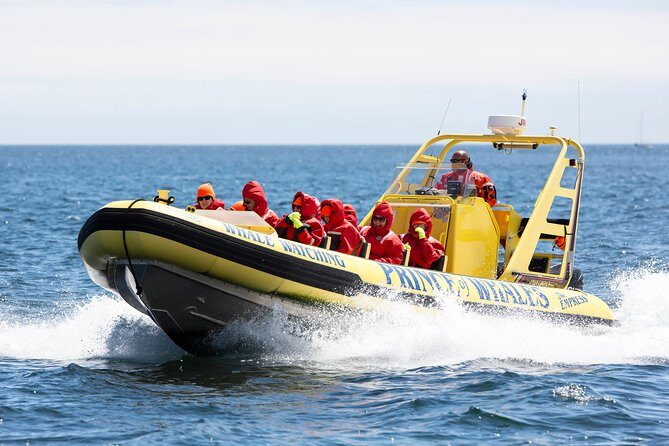 Victoria Zodiac Boat Whale Watching Adventure - Price and value: What you’re paying for (and why it’s not just a bargain)
