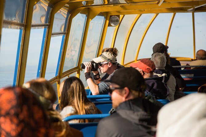 Whale-Watching Tour from Vancouver - Gulf and San Juan Islands Views You’ll Actually Remember