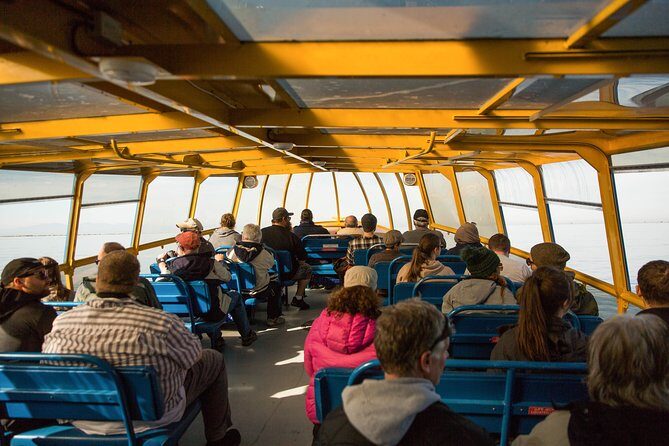 Whale-Watching Tour from Vancouver - Comfort, Crew, and the Little Details That Add Up
