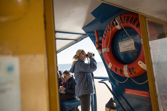 Whale-Watching Tour from Vancouver - Value for $157.09: Is It Worth It?