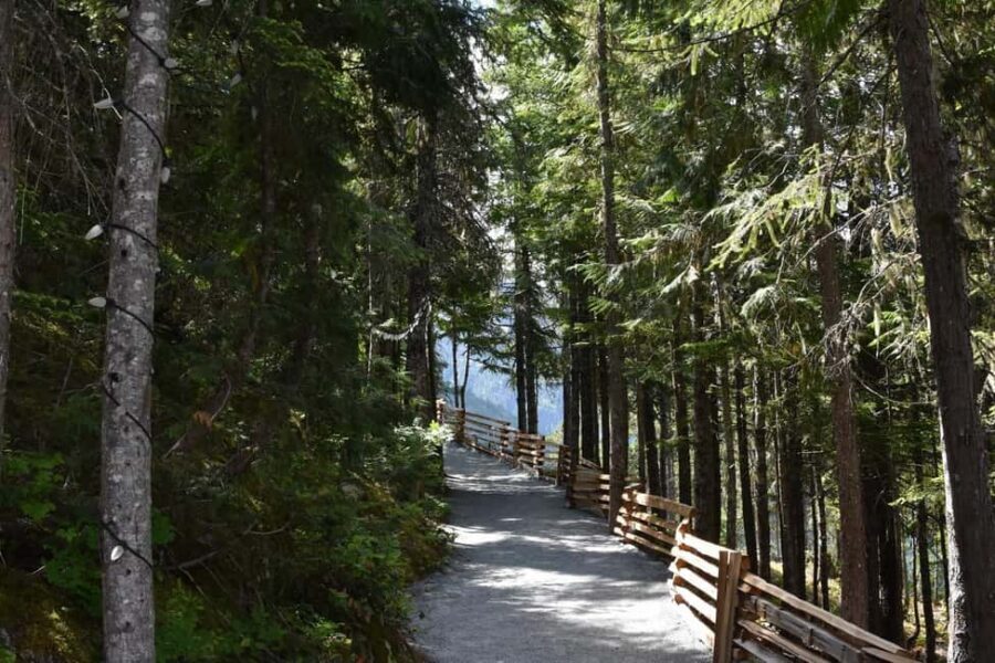 Whistler, Sea to Sky Gondola, and Shannon Falls Day Trip - Tips That Make the Tour Feel Smooth (Not Like a Whirlwind)