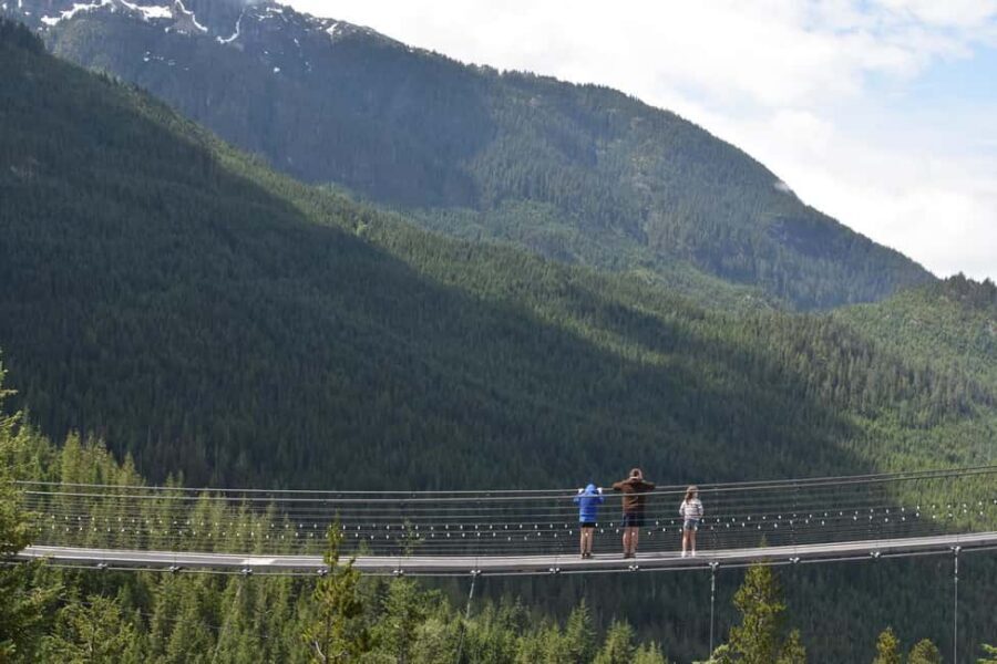 Whistler, Sea to Sky Gondola, and Shannon Falls Day Trip - Shannon Falls National Park: A 20-Minute Stop That Actually Delivers
