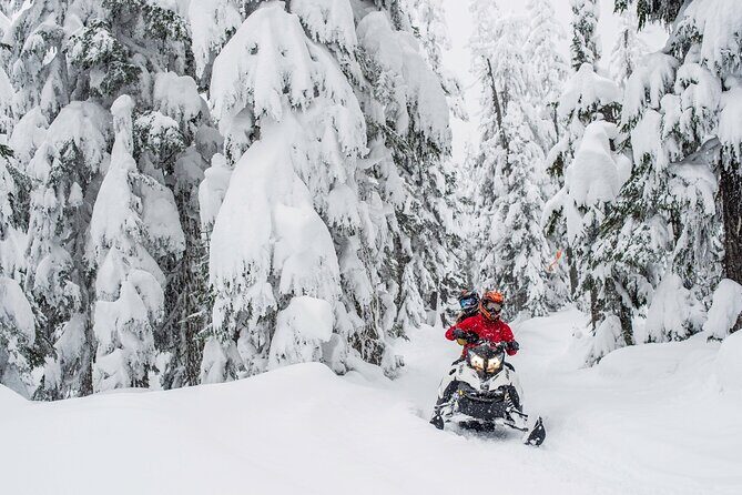 Whistler Wilderness Run Snowmobile Tour - Pacing reality check: why speed isn’t the main goal