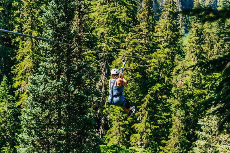 Whistler: Ziplining Experience - The “Eagle Tour” Feel: 5 Ziplines, 4 Treetop Bridges, and Tandems