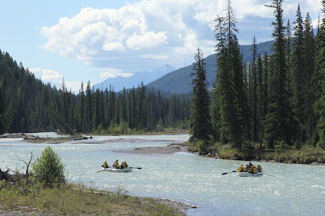 Wild Water Adventures - Price and Value: What $96.89 Buys You (And What It Doesn’t)
