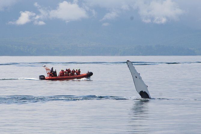 Winter Victoria Whale and Wildlife Zodiac Tour - The Gear Plan: Staying Warm With Cruiser Suits